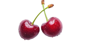Two ripe, red cherries glistening with water droplets, stems intertwined against a black background