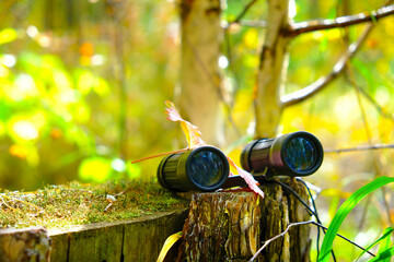 Binoculars in the forest. Traveling, hiking, walking, enjoying vacations