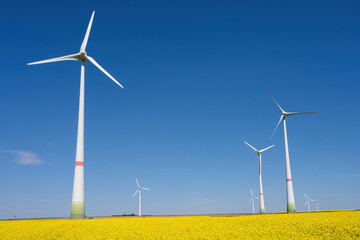 Wind turbines in a field of blooming canola seen in Germany