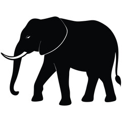 Obraz premium Silhouette of an African Elephant with Tusks Walking on a White Background