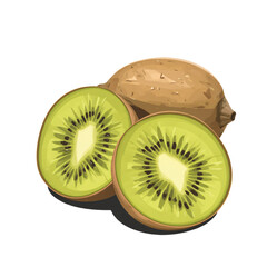 Obraz premium Realistic digital illustration of a sliced kiwi showing bright green flesh and crisp edges on a white background.