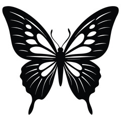 Striking Black and White Butterfly Illustration Featuring Intricate Wing Patterns and Elegant Design