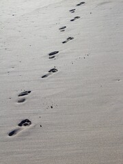 bare human footprints walking across the beach sand