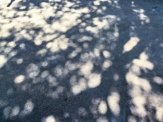 Shadow under strong sunlight highlighting natural surface texture, capturing the beauty of nature's intricate details. Abstract patterns, emphasizing texture, contrast, and organic aesthetics.