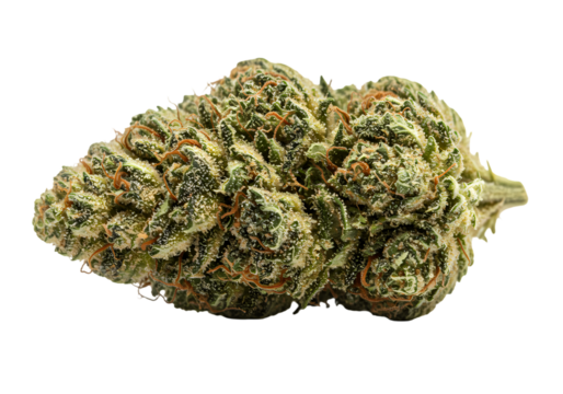 Cannabis Bud CloseUp isolated on transparent baackground