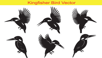 Obraz premium Kingfisher Bird Silhouette Icon Collection Set Vector Illustration on White Background
