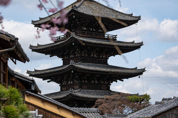 The famous building exterior of the Yasaka Pagoda outdoor at daytime framed by pink blooming tree during spring in Kyoto in Japan.