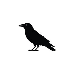 Simple Black Raven Silhouette Standing Bird on White Background Artistic Design