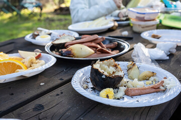 Used plates and leftover grilled food tell the story of a joyful picnic just ended in the forest. Charred potatoes, onions, and fruit remain after a satisfying meal with friends.