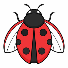 Obraz premium Adorable round ladybug with open wings ready for design use