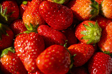 Fresh ripe strawberries with vibrant red hues in a bowl with natural light. Red summer fruit background.