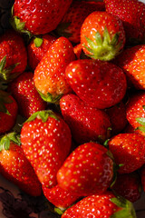 Fresh ripe strawberries with vibrant red hues in a bowl with natural light. Red summer fruit background.