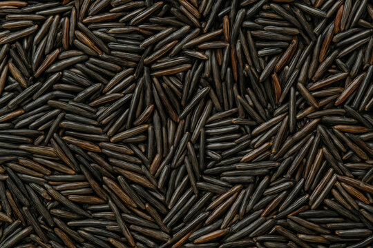 Close-up of wild rice grains scattered in a dense pattern, highlighting the dark natural texture of whole grains

 - Powered by Adobe