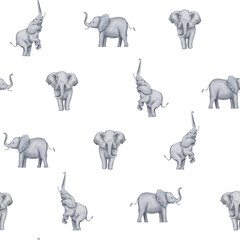 Seamless Elephant Pattern Set with African Wildlife and Nature Elements.