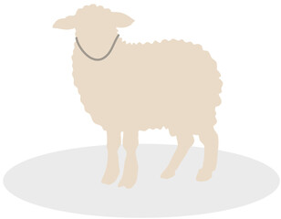 Faceless qurban animal 11