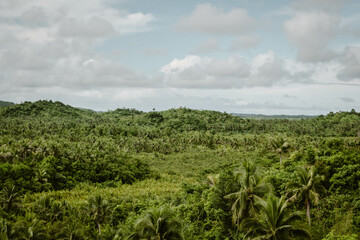 Naklejka premium Beautiful aerial view of lush greenery and mountains outside at daytime at coconut view point on Siargao island with many green palm trees of the jungle in the Philippines in Asia with copy space.