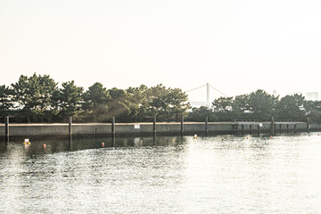 Rainbow Bridge, the landmark of Tokyo city through the trees in front of the water of the river in the Hamarikyu Garden at dusk during sunset in Japan with space for text.