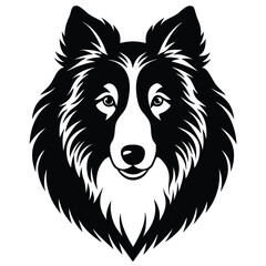 Fototapeta premium Collie dog head illustration on white background