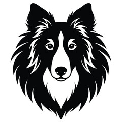 Fototapeta premium Collie dog head illustration on white background