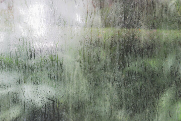 condensation on glasshouse window
