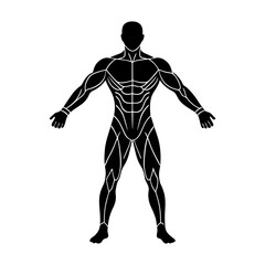 Fototapeta premium Illustration of a muscular human figure with defined muscle structure