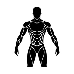 Silhouette of a muscular man with defined abs and arm muscle anatomy