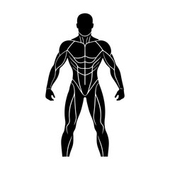 Silhouette of a muscular man showing muscle definition in black and white