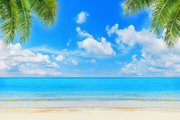 Sea beach, paradise tropical island landscape, green coconut palm tree leaves, clear water, turquoise ocean, white sand, blue sunny sky, summer holiday, vacation, travel, Caribbean, Thailand, Maldives