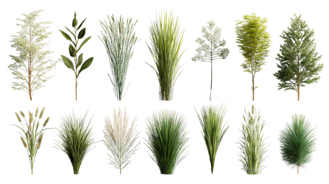 Green and White Plants Collection on Transparent Background, PNG