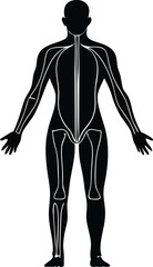 Fototapeta premium Human Body Silhouette Vector – Skeletal and Muscle Outline in Minimalist Black and White Styl