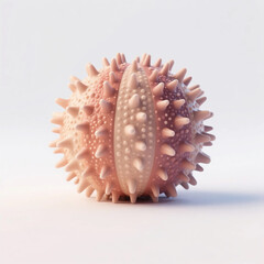 Obraz premium 3d sea urchin on white background