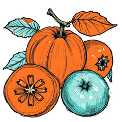 fruit vector art