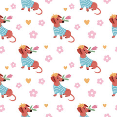 Funny dachshunds seamless pattern. Cute romantic dog hold tulip, animal clothing, repeated happy pet with flower. Textile, wrapping, wallpaper. Print for fabric, garish vector background
