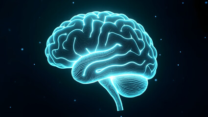 3D Glowing Holographic Brain Made of Light Particles and Circuits in Dark Space