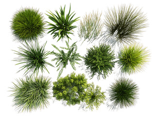 Lush Green Plants Overhead View, PNG