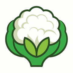 Cauliflower icon vegetable graphic isolated on white background