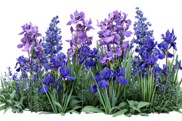 Naklejka premium Lush Purple and Blue Irises and Lavender Floral Arrangement, PNG