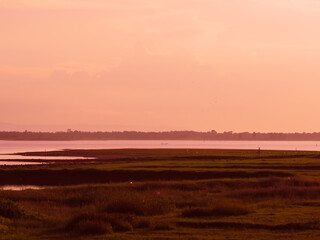Natural lake view decorated with vintage pink tones