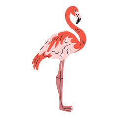 Pink flamingo and black flamingo icon. Beautiful bird vector hand drawn illustration . Isolated birds on white background. Wild animal sign for your design
