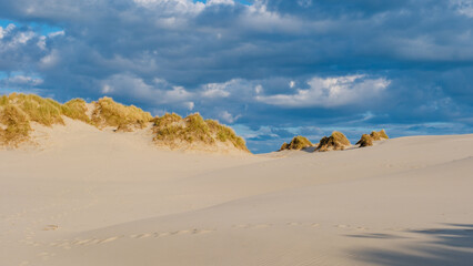 Golden sand dunes stretch across the landscape, framed by scattered tufts of grass. Rabjerg Mile dunes, Denmark