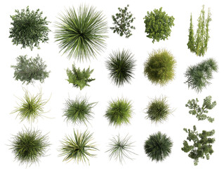 Overhead View of Diverse Green Plants and Shrubs on Transparent Background, PNG