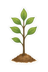 tree growing from soil