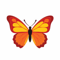 Vibrant autumn butterfly with geometric wings on white background, nature