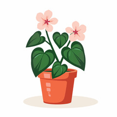 Elegant begonia plant with pink flowers in terracotta pot, botanical beauty