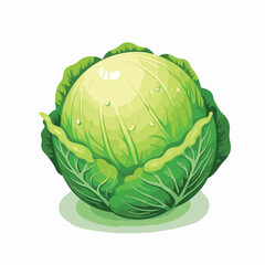 Fototapeta premium Fresh cabbage with dew drops, vibrant green simplicity