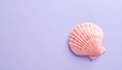 ミニマルなソフトラベンダーのマット背景に映えるピンクの貝殻、広いコピー空間と落ち着いた色調が夏の優しさと清潔感を演出する一枚