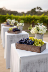 A beautiful vineyard setting with rustic stone tables displaying fresh grapes and floral arrangements, creating an inviting atmosphere for gatherings and celebrations