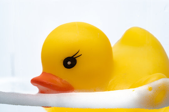 Yellow rubber duck toy floating in a glass