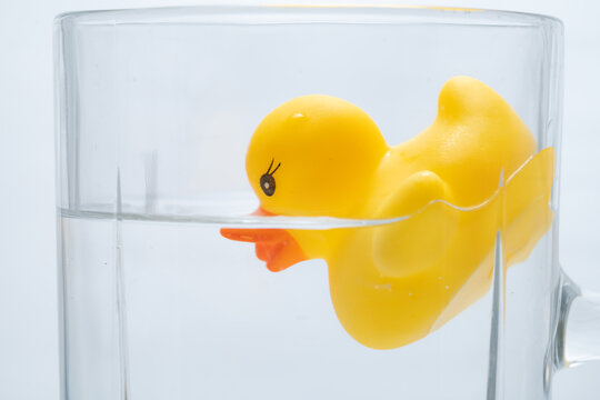 Yellow rubber duck toy floating in a glass