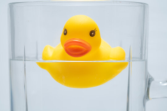 Yellow rubber duck toy floating in a glass